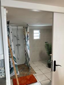 勒唐蓬La Kaz Hibiscus, jacuzzi privé的带淋浴和浴帘的浴室