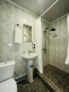 阿特劳Apec Hotel的一间带水槽、卫生间和淋浴的浴室