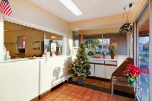 彼得斯堡Hotel Petersburg VA I-95 & E Washington St的一间厨房,里面放着圣诞树