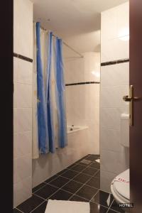 扎雷克MC Hotel的浴室设有卫生间和蓝色的浴帘。