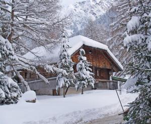 安泰塞尔瓦·迪·梅佐木屋维尔德高度假屋的雪地里的小木屋,有雪覆盖的树木