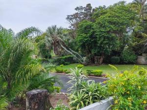 马盖特Msongi Guest House的种有棕榈树和道路的花园