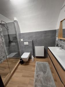 捷克克鲁姆洛夫Villa Celnice的带淋浴、盥洗盆和卫生间的浴室