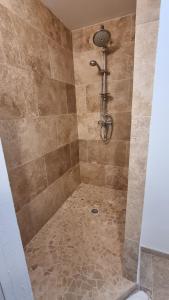 塞尔纳克Mas provençal à proximité du Pont Du Gard的配有瓷砖地板和淋浴头的淋浴