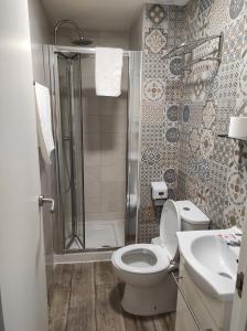 阿利坎特hostal olozaga的带淋浴、卫生间和盥洗盆的浴室