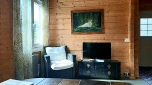阿尔维卡Fröya Timber Cottage的客厅配有椅子和电视
