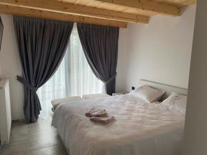 BorsaCabanele Olena的一间卧室设有一张大床和一个大窗户