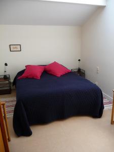 安格雷Appartement Ranavalo Pays Basque的一间卧室配有蓝色的床和两个红色枕头
