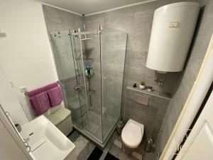 弗尔沙茨Moment Apartman Vrsac的带淋浴、卫生间和盥洗盆的浴室