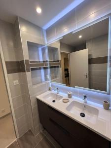 布雷斯特Appartement brest st-marc 6-8personne 2min centre的一间带水槽和大镜子的浴室