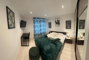 布雷斯特Appartement brest st-marc 6-8personne 2min centre的一间卧室设有一张大床和一个窗户。