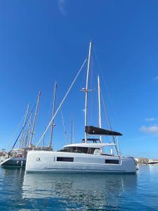 普拉亚布兰卡Catamaran White Beach的白船坐在水里