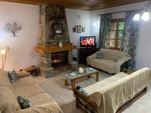 普里诺斯Villa Parahora的客厅设有壁炉和电视。