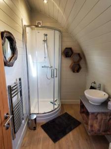 Charlton MusgroveRiding Gate Lodge的带淋浴和盥洗盆的浴室