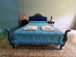 赫苏斯玛丽亚Acogedora suite con ingreso independiente.的蓝色的床,上面有两条毛巾