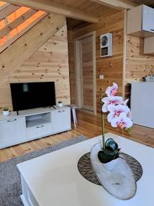 乌尔齐尼Olive & sea, Luxury two bedrooms cabin for 8的客厅,带花瓶,桌子上放着花