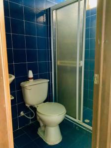 圣希尔EL RODEO的蓝色瓷砖浴室设有卫生间和淋浴。