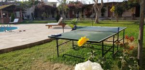 SunampeHospedaje El Cascabel的院子里草地上的乒乓球桌