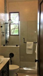 AntónVista Gaital/ Gaital View的带淋浴、卫生间和盥洗盆的浴室