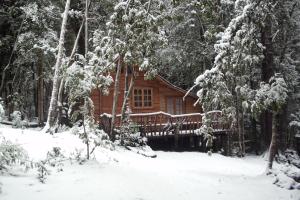 柯纳里佩Cabaña Rustica Patagonia Chilena的雪中树林里的小木屋