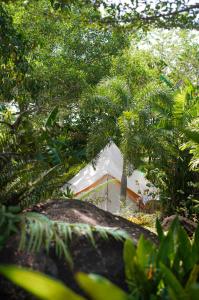 拉威海滩Roost Glamping - SHA Certified的树林中树木的房屋