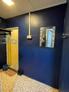 丹那拉打Vintage Guesthouse的浴室设有蓝色的墙壁和镜子
