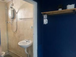丹那拉打Vintage Guesthouse的一间带水槽和淋浴的浴室