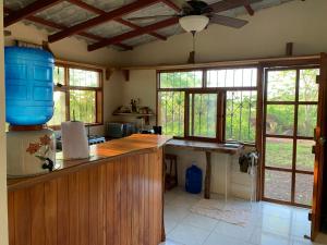 圣克里斯托瓦尔Casa Verde Vacation Garden Home的厨房里有一个布满蓝色桶子的柜台