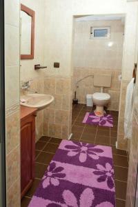 Зелената Къща的一间带水槽和卫生间的浴室以及紫色地毯。