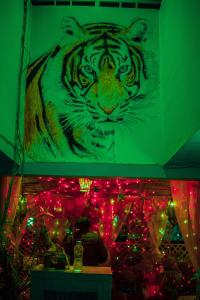 斋浦尔Pachamama Hostel的墙上的老虎画,带圣诞灯
