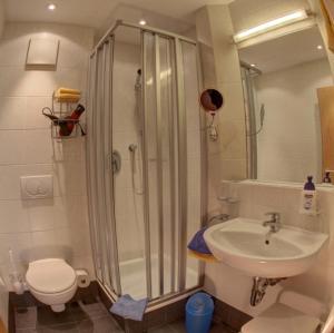 雷特温克尔夕阳公寓的带淋浴、盥洗盆和卫生间的浴室