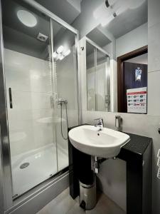 别尔斯克-比亚拉Hotel Szyndzielnia Eco的一间带水槽和淋浴的浴室