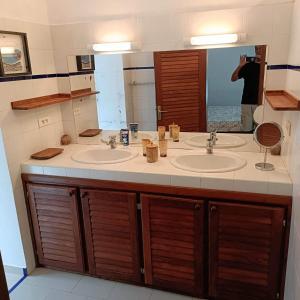 斯基灵角Villa CITRONS VERTS dans un parc arboré vue mer的一间带两个盥洗盆和大镜子的浴室