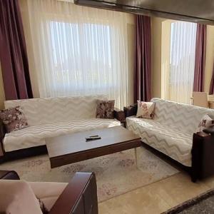 凯麦尔Agva Apart Otel的带沙发和咖啡桌的客厅