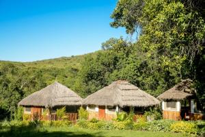 马赛马拉Giraffe Hills Mara Camp的茅草屋顶和树木的小屋