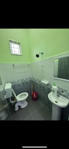 丹那美拉Casa Harmony的一间带卫生间和水槽的浴室