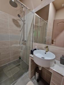 SentaFantastico Exlcusive Hotel的一间带水槽和淋浴的浴室