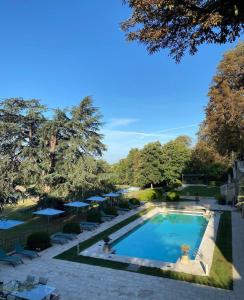 武夫赖比道迪埃勒庄园酒店的享有带椅子和树木的游泳池的空中景致