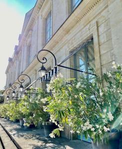 武夫赖比道迪埃勒庄园酒店的建筑物一侧的一排植物