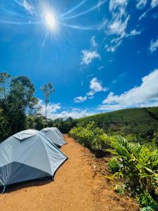 瓦加蒙TENT LIFE的两顶帐篷,在土路上,阳光照在天空中