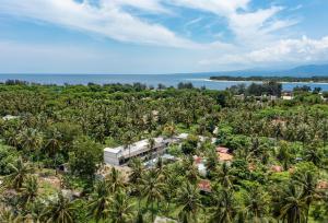 吉利特拉旺安旺安尼尔瓦纳酒店的棕榈树环绕的度假村的空中景致