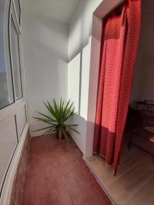 阿莫拉Casa Terra Cota - Seixal的走廊上的门和房间里种植的植物