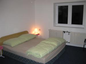 切拉德纳玛鲁舒卡草房的一间卧室配有一张带灯和窗户的床