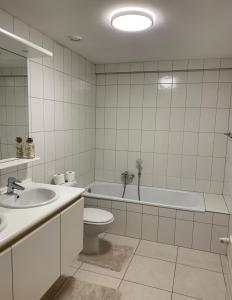 布兰肯贝赫Appartement GT的带浴缸、卫生间和盥洗盆的浴室