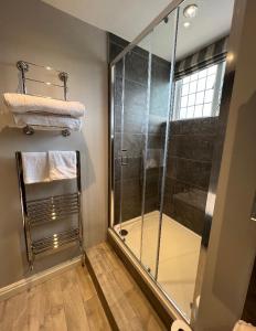 朗里奇The Dog Inn的带淋浴的浴室和玻璃淋浴间
