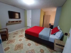 帕斯托HOTEL DINO的一间卧室配有一张带红色毯子的床和一台电视。
