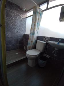 帕斯托HOTEL DINO的浴室配有卫生间、淋浴和盥洗盆。