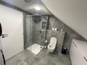帕尔杜比采Apartmán Světla的带淋浴和卫生间的浴室