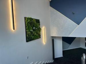 利物浦Urban Pod Hotel Liverpool的墙上挂着植物的照片的房间