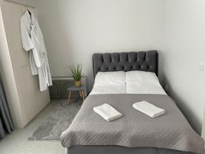 罗基什基斯Apartamentai Rokiškio Senamiestyje的一间卧室配有一张带两个枕头的床